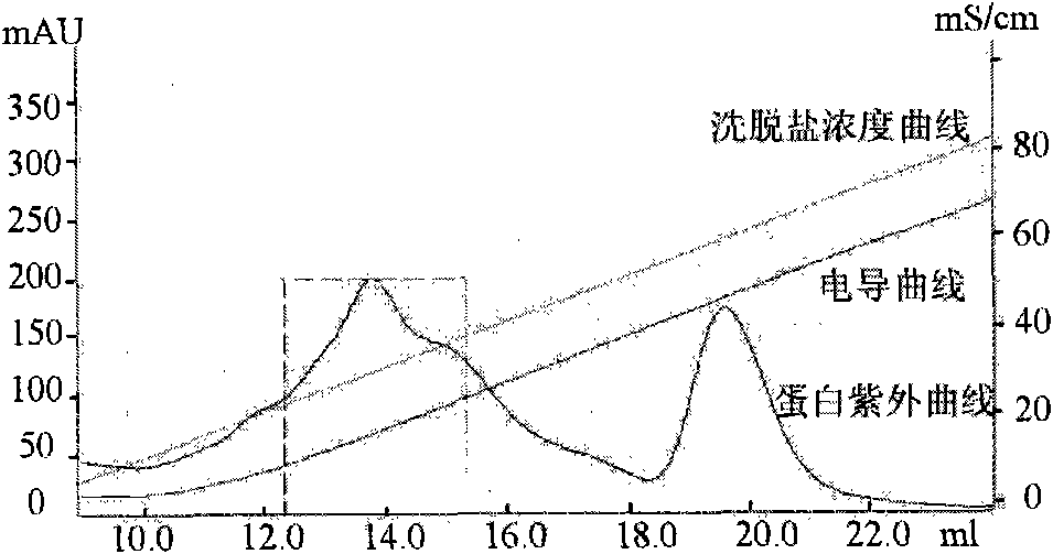 Engineering bacteria of soluble expression Not I, and construction method and application thereof