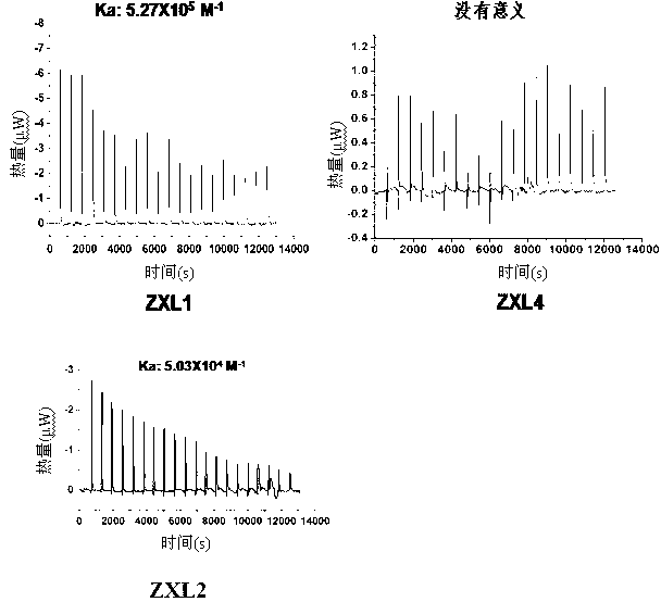 Mycobacterium tuberculosis surface lipolysaccharide-antistatic nucleic acid aptamer and application thereof