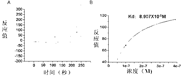 Mycobacterium tuberculosis surface lipolysaccharide-antistatic nucleic acid aptamer and application thereof