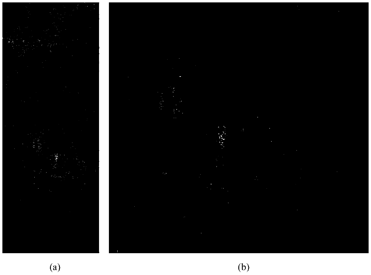 SAR image recognition method based on semi-supervised classification and region distance measure