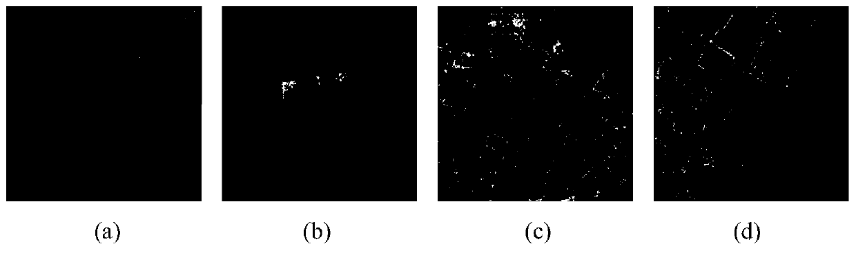 SAR image recognition method based on semi-supervised classification and region distance measure