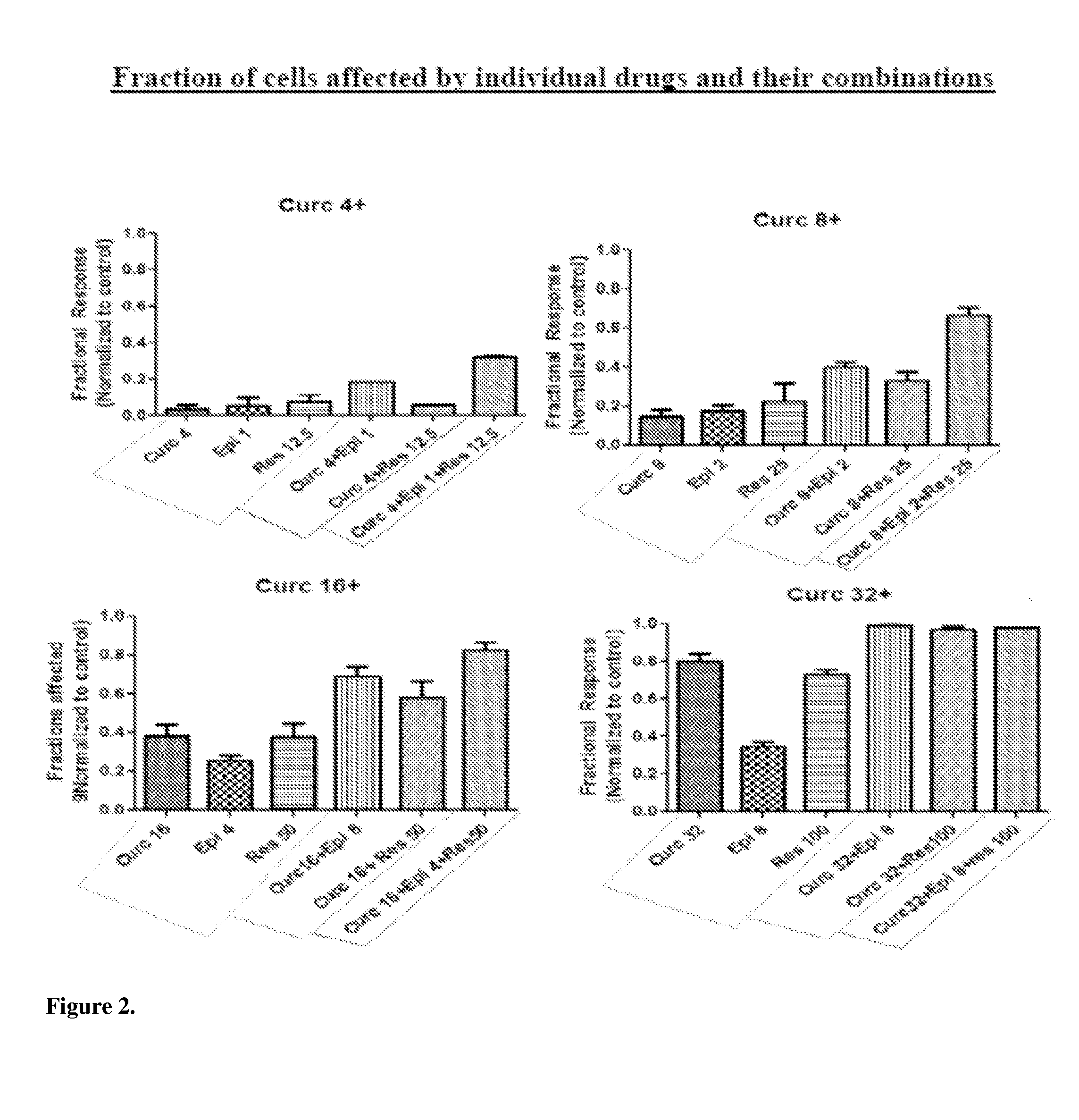 Activity Enhancing Curcumin Compositions and Methods of Use