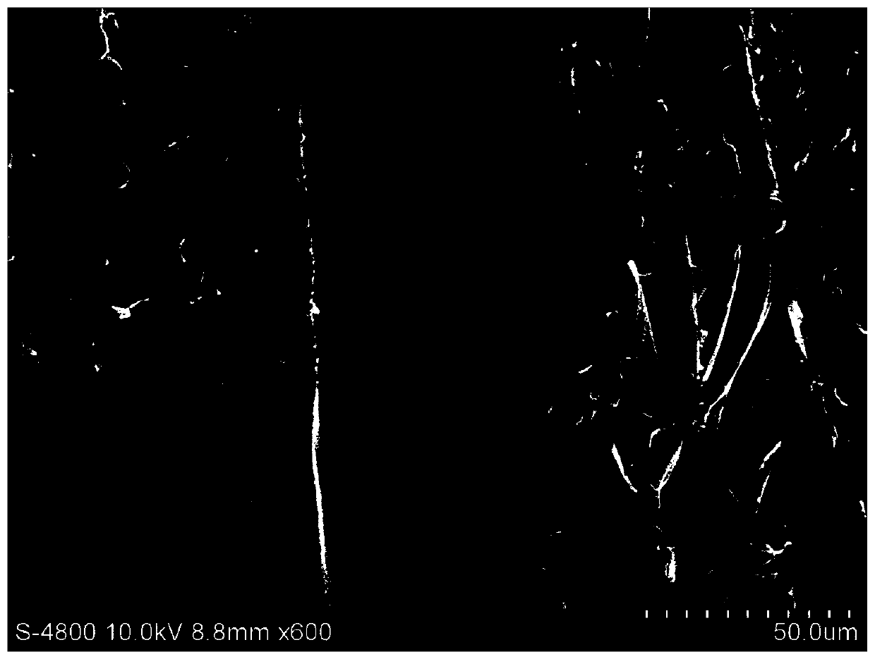 Wood preservative and application thereof