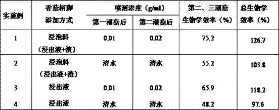 Pleurotus cornucopiae cultivation method