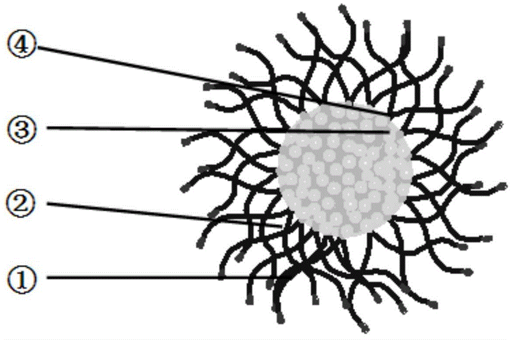 Polymethacrylic acid-containing self-assembled drug carrier microcapsule system