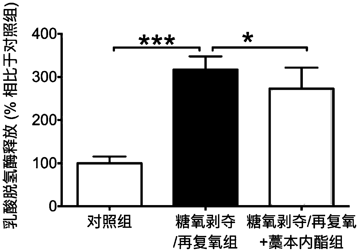 Application of ligustilide in preparing medicine for alleviating microglial cell damage, preventing and treating cerebral arterial thrombosis or repairing cerebral injury