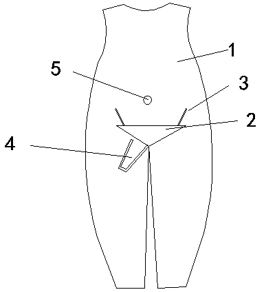 Fluorescent garment with catheter