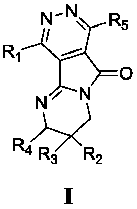 Pyrimido-pyrrolopyridazine derivative as well as intermediate, preparation method, pharmaceutical composition and application