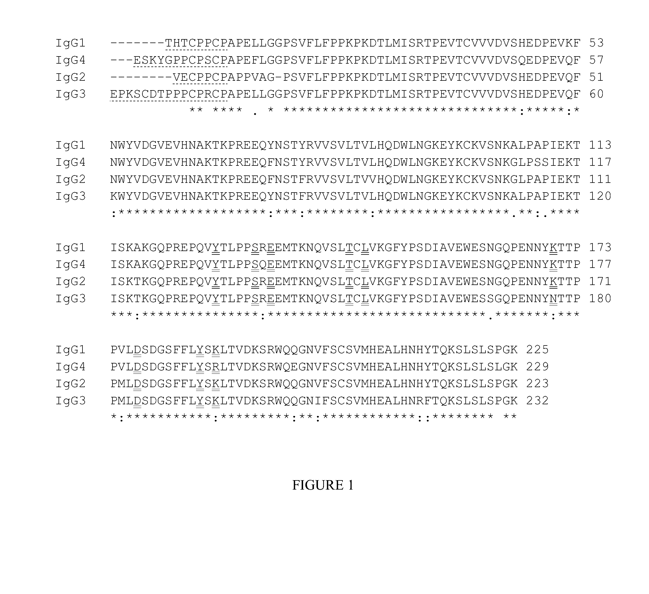 Follistatin-related fusion proteins and uses thereof