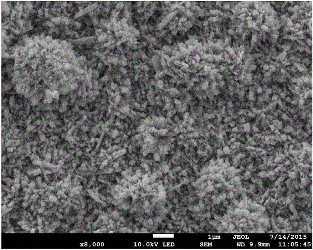 Preparation method of inflorescence type WO3 thin film for electrochromism