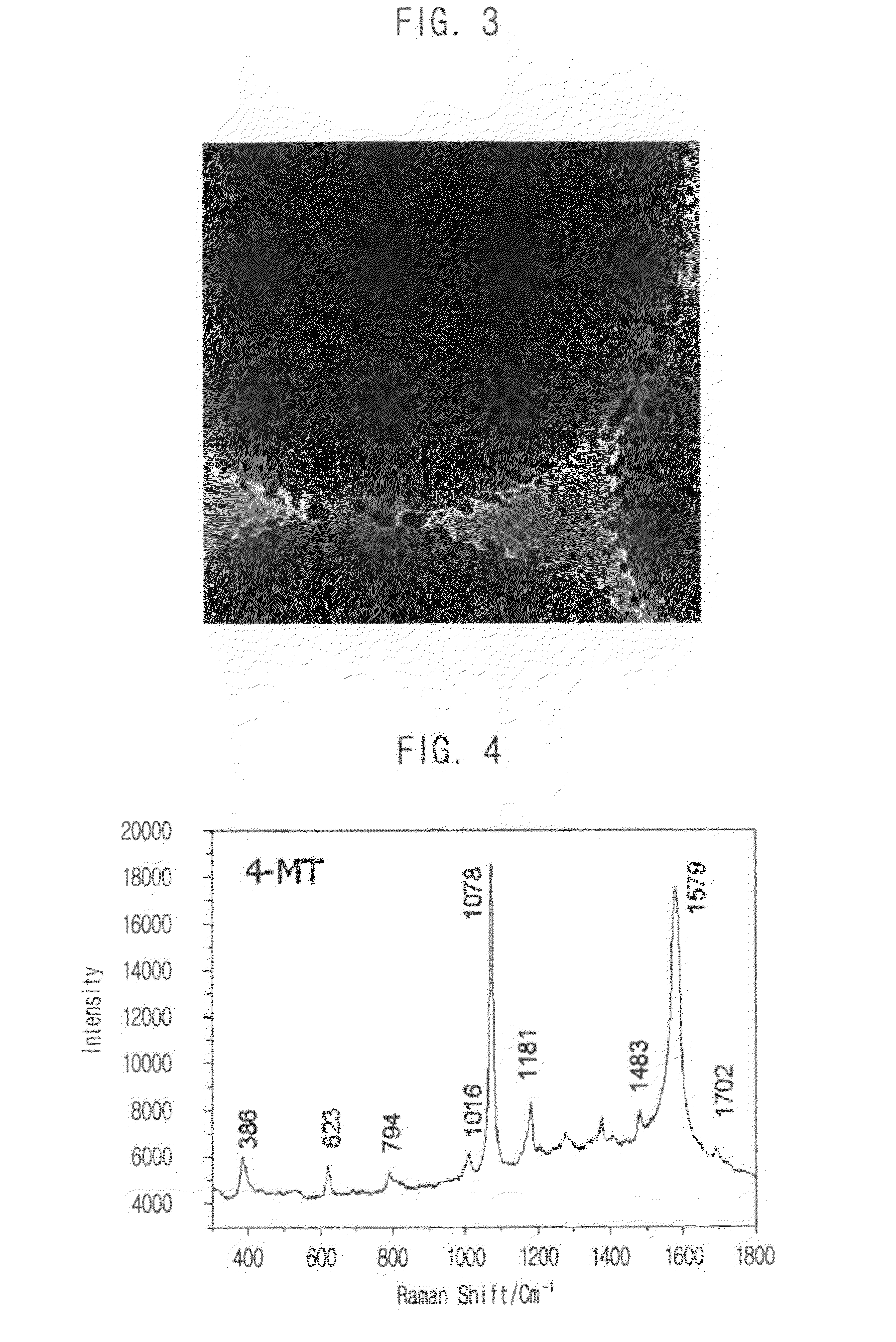 Surface enhanced raman scattering nano-tagging particle and method for preparing thereof