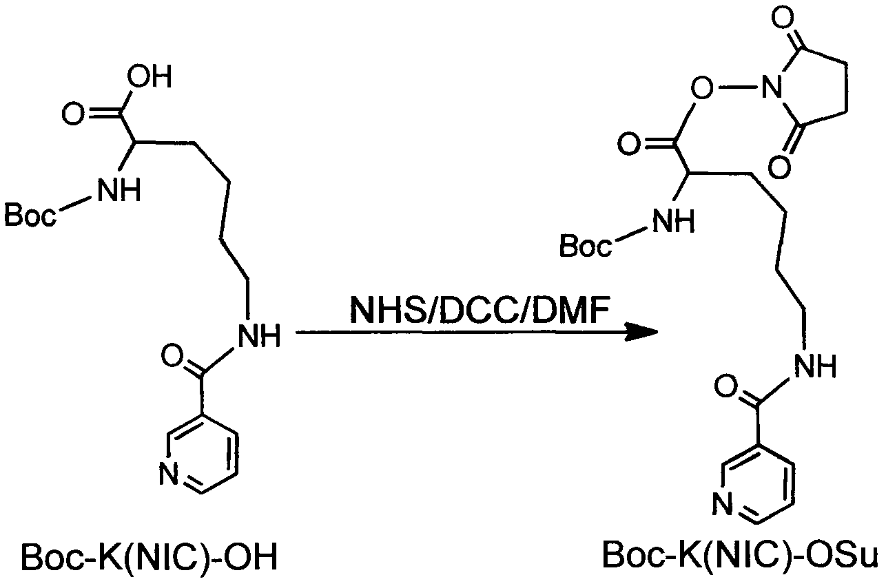 99mtc-labeled RGD (arginine-glycine-aspartic acid) polypeptide tumor diagnosis medicament and preparation method thereof