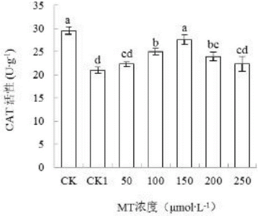 Method capable of remarkably improving stress resistance of eggplants under low-temperature and weak-light conditions