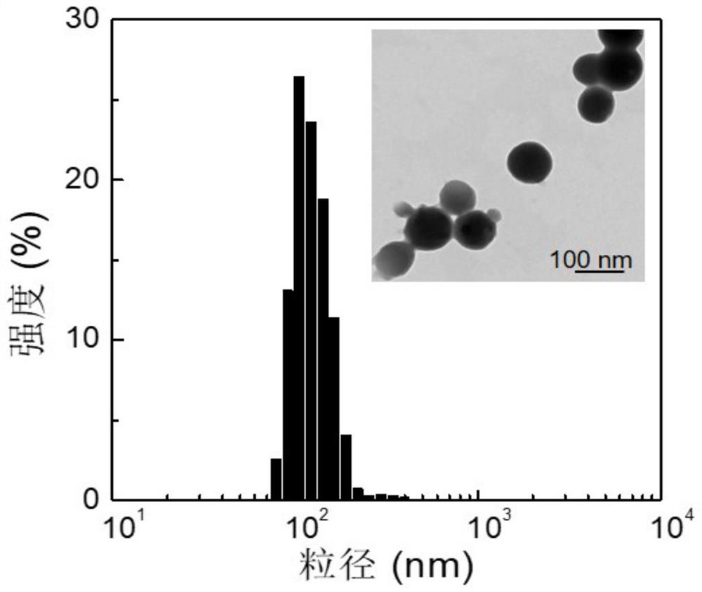 A Nitric Oxide and Cisplatin Co-delivery Polyprodrug Nanoparticles and Its Preparation and Application