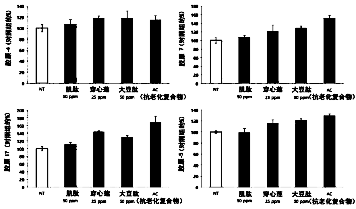 Anti-aging composition comprising carnosine, soy peptide, and andrographis paniculata extract