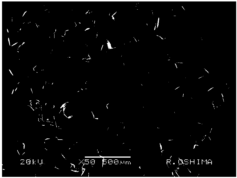 Preparation method of CBN (Cubic Boron Nitride) mixing type boron-doped diamond and Fe-based alloy catalyst