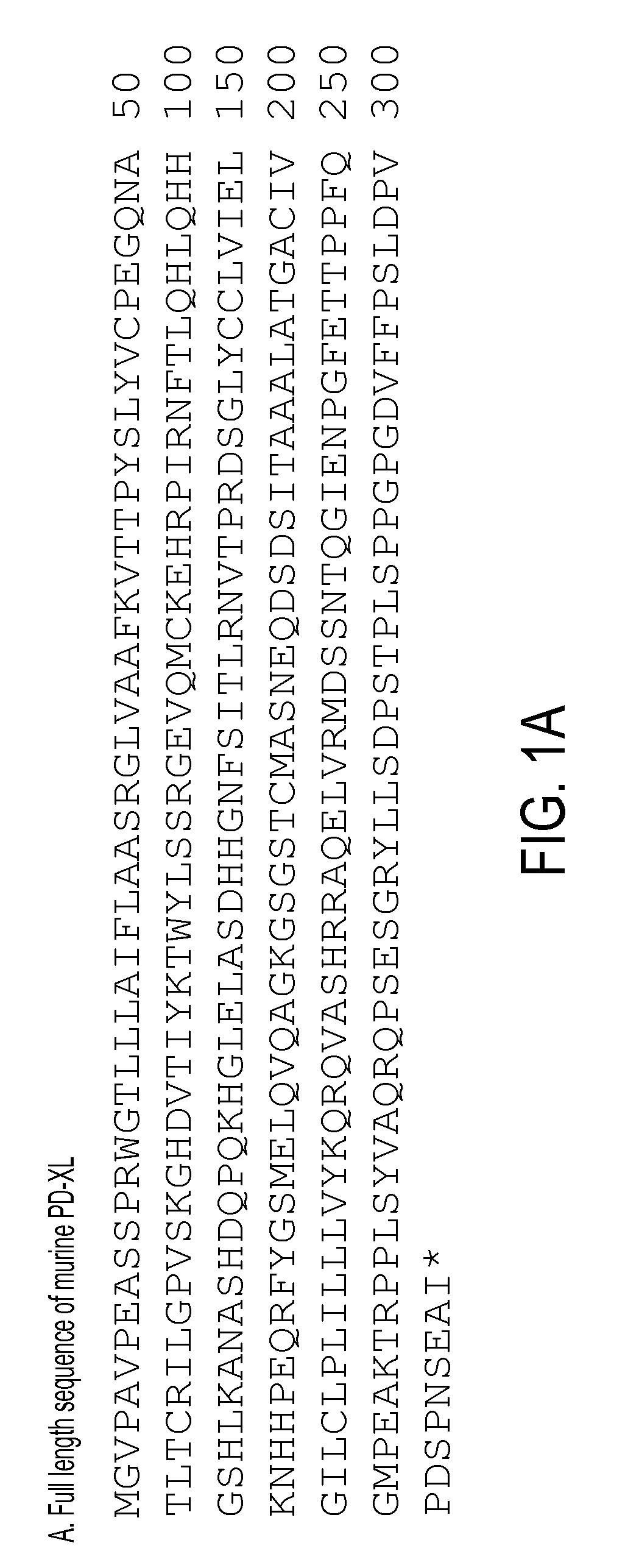 Regulatory t cell mediator proteins and uses thereof