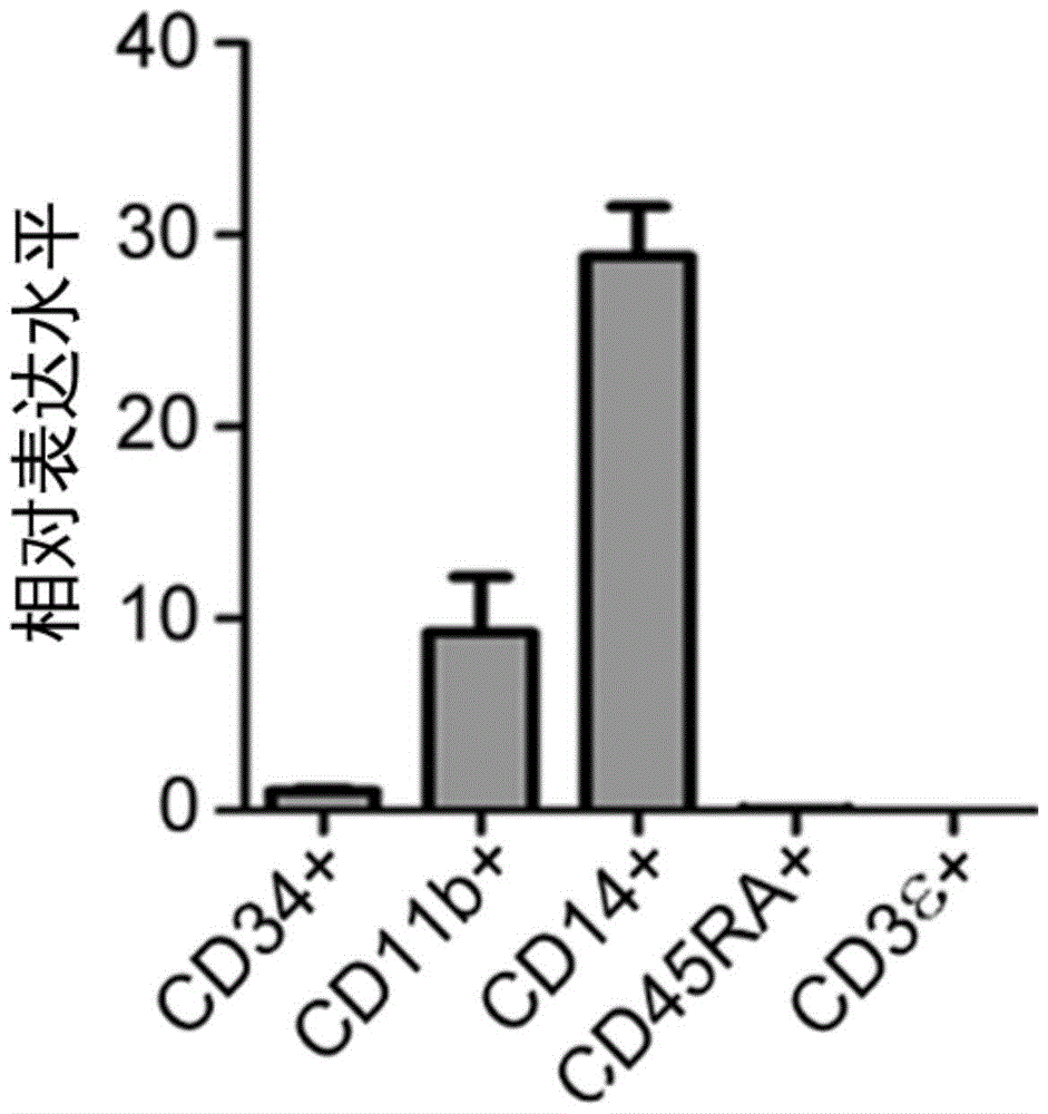 Application of mir-638 in anti-acute myeloid leukemia