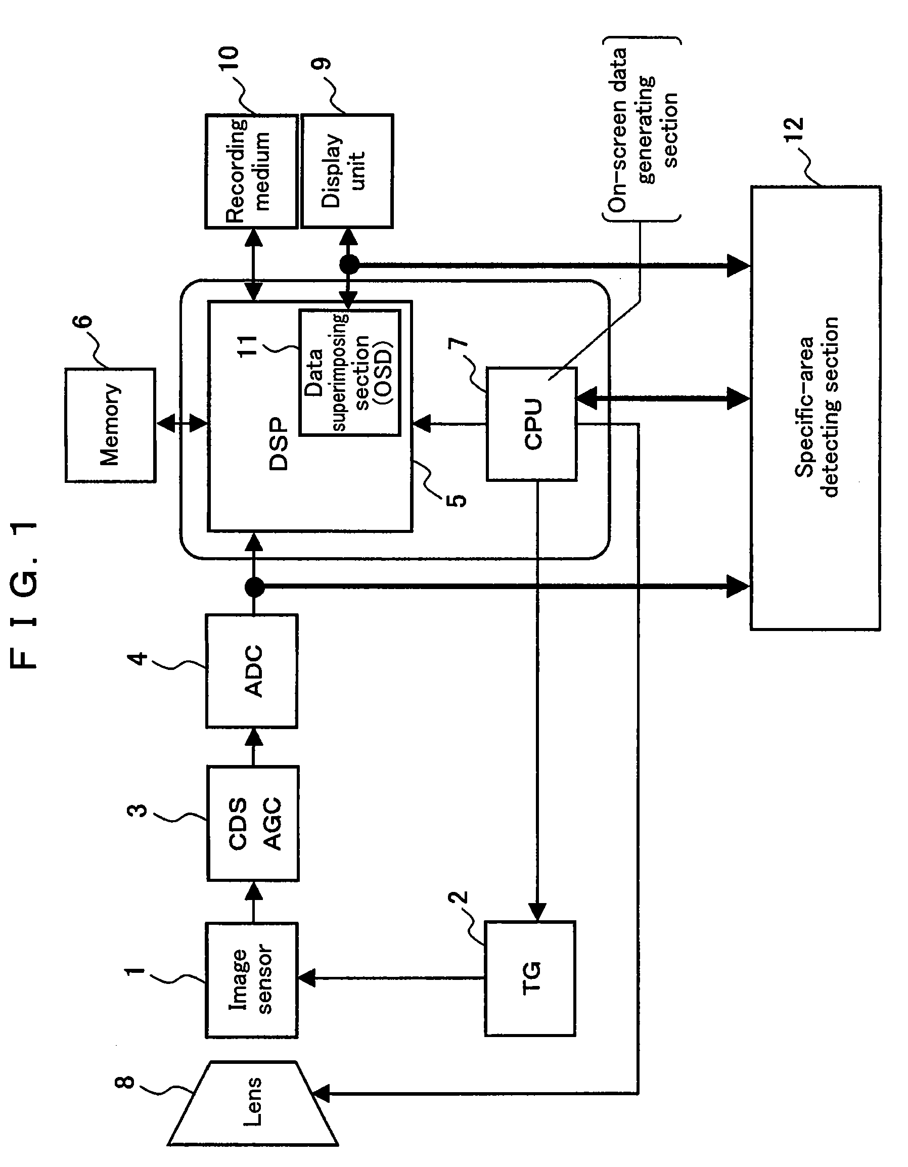 Image processor and imaging device