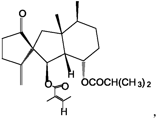 Fukinanclide K-containing antifungal composition for external use