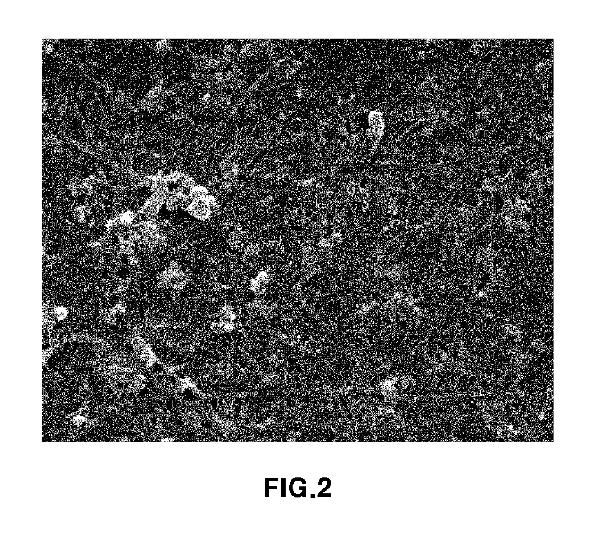 Polymer nanocomposite containing glass fiber coated with metal-carbon nanotube and graphite and method of preparing the same