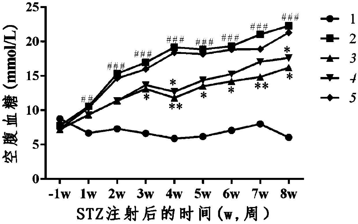 Nano-selenium bifidobacterium longum as well as preparation method and application thereof