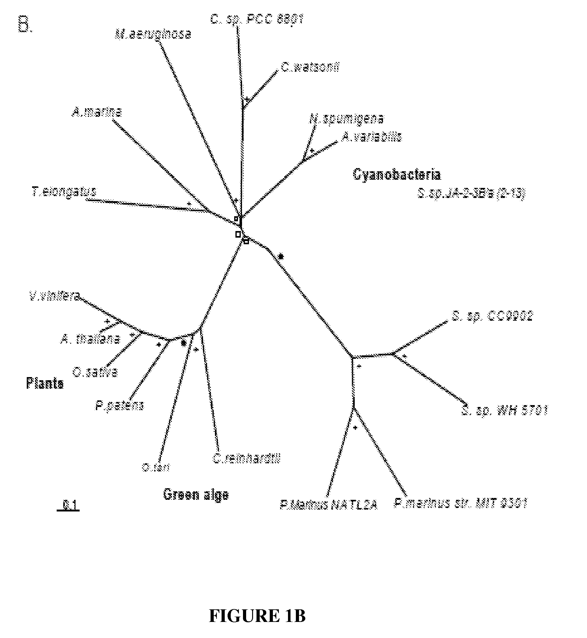 Compositions And Methods Of A Phosphatidic Acid Binding Protein