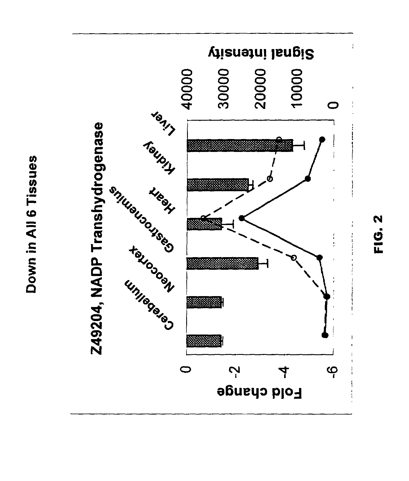 Methods of screening for compounds that inhibit expression of biomarker sequences differentially expressed with age in mice