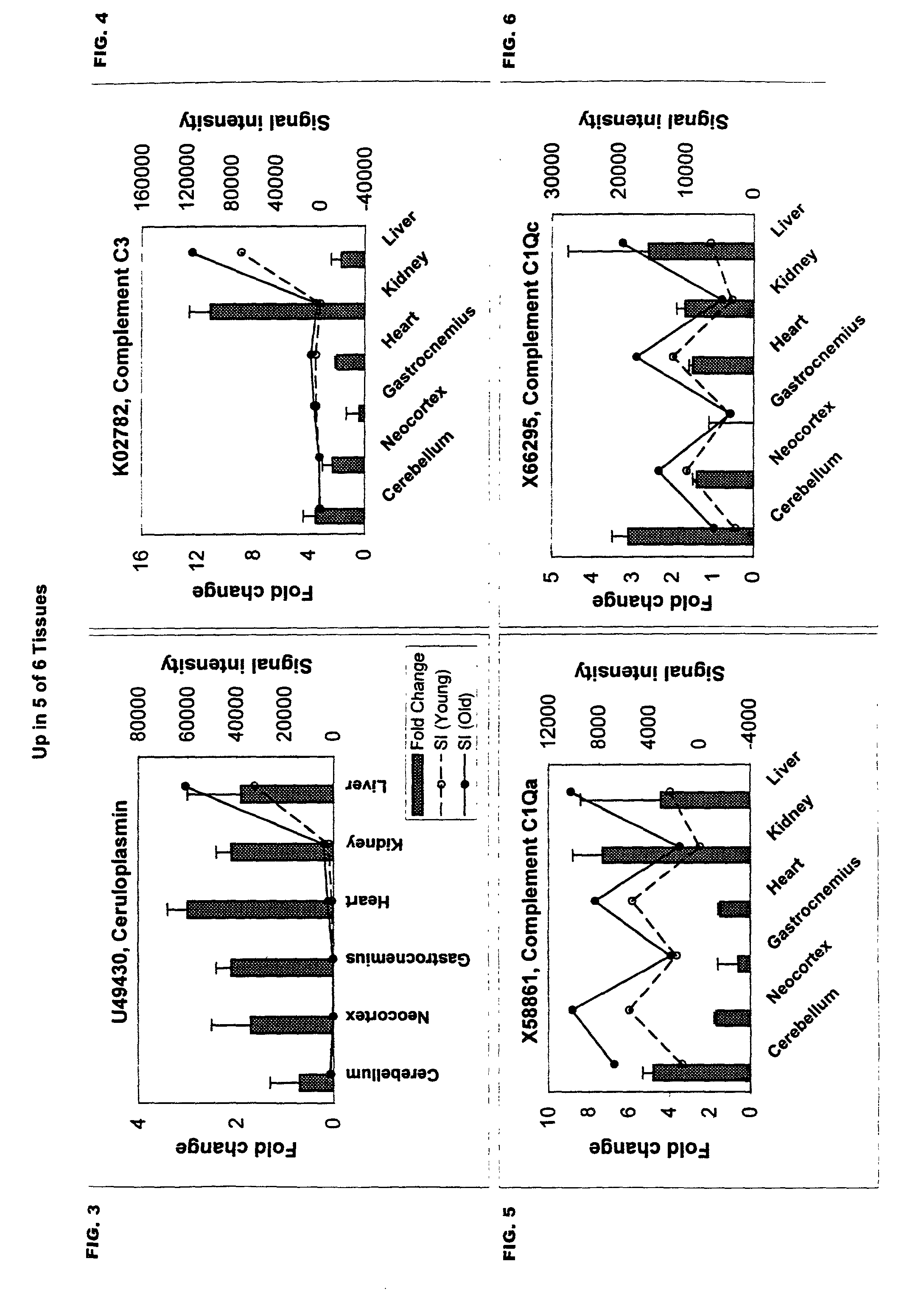 Methods of screening for compounds that inhibit expression of biomarker sequences differentially expressed with age in mice
