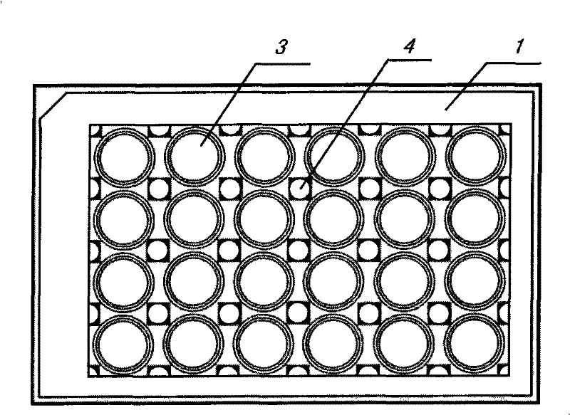 Metal nano material toxicity detection board and detection method thereof