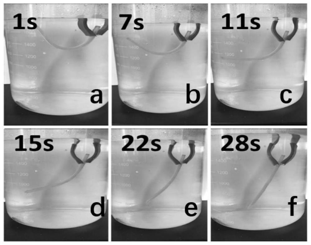 A shape memory polymer with high temperature resistance and high performance, its preparation method and application