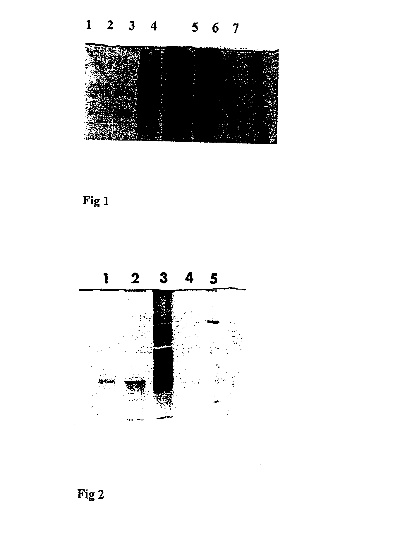 Protein profiling of hyper acidic plants and high protein extraction compositions thereof