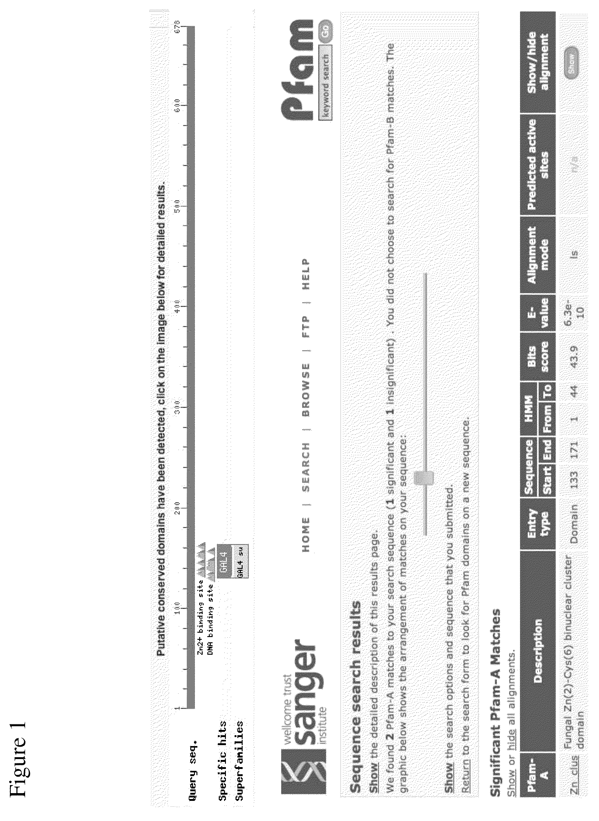 Methods and compositions for improving sugar transport, mixed sugar fermentation, and production of biofuels