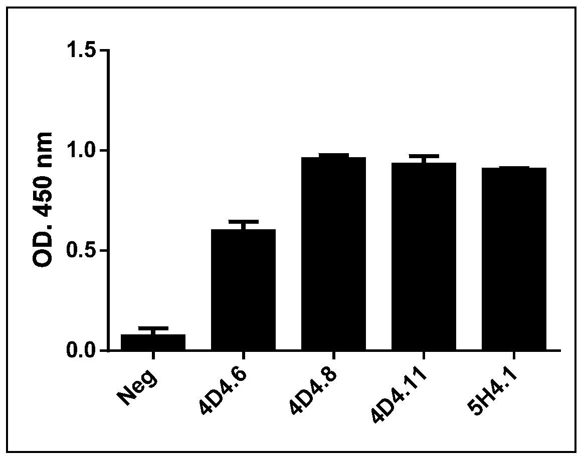 An antibody against serinc5 and its application