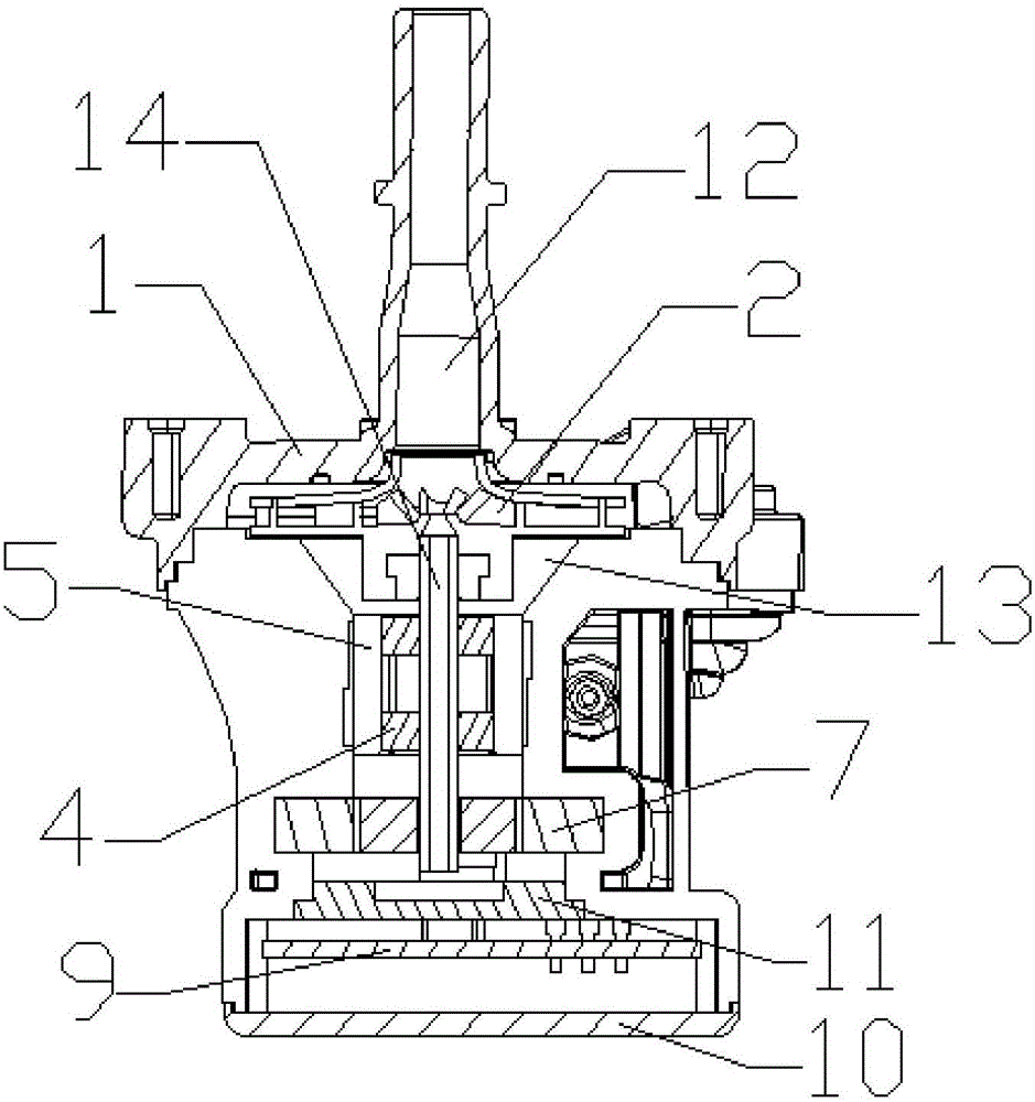 Gasoline steam purifying device with flow returning function