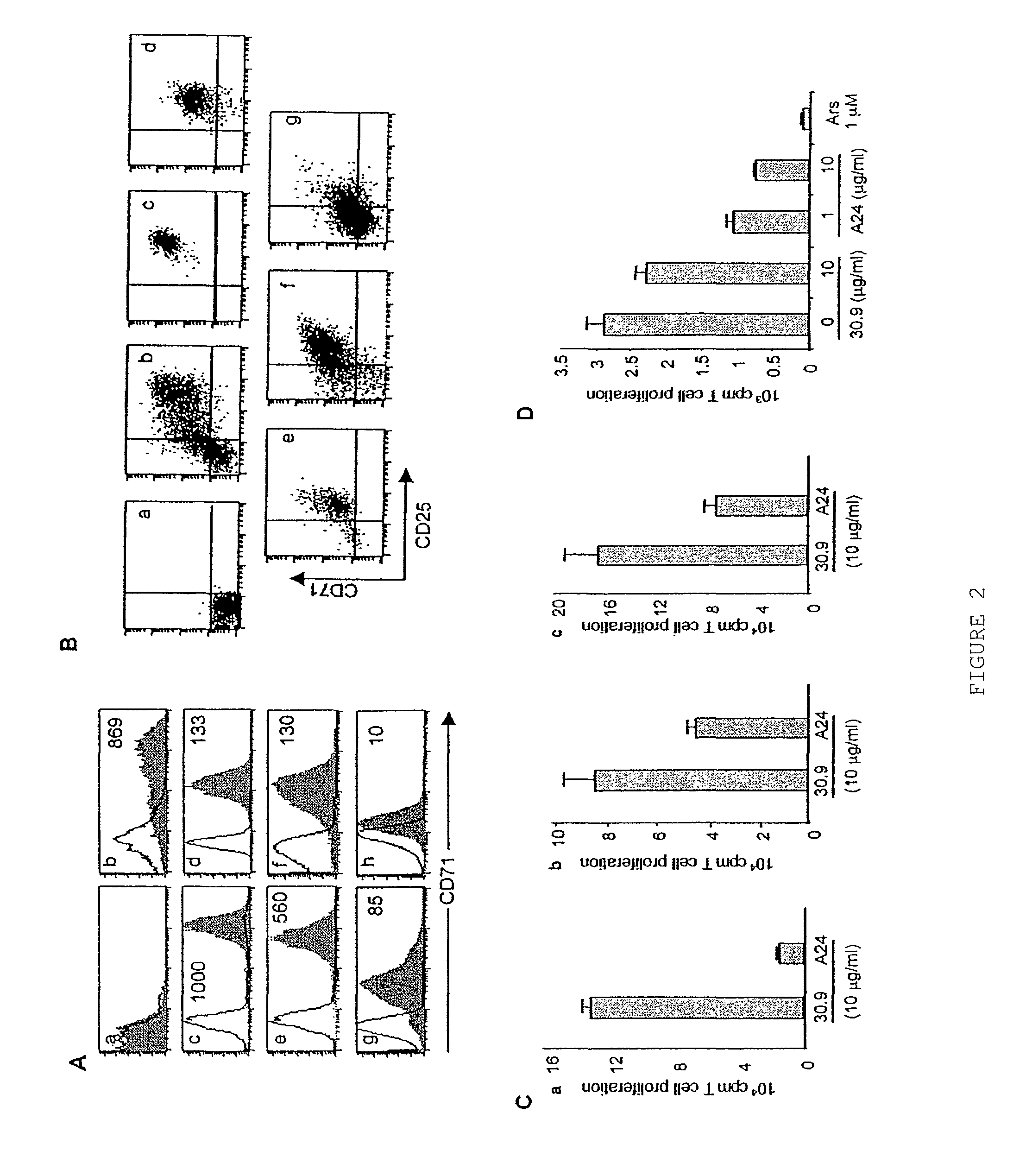 Anti TfR antibody