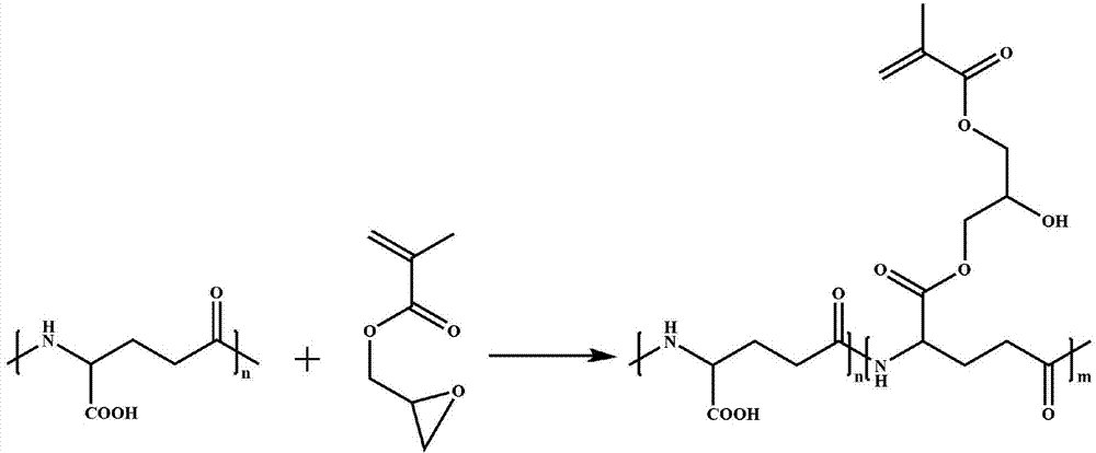 Polyglutamic acid macromolecule cross-linking agent containing carbon-carbon double bonds, preparation method and application thereof