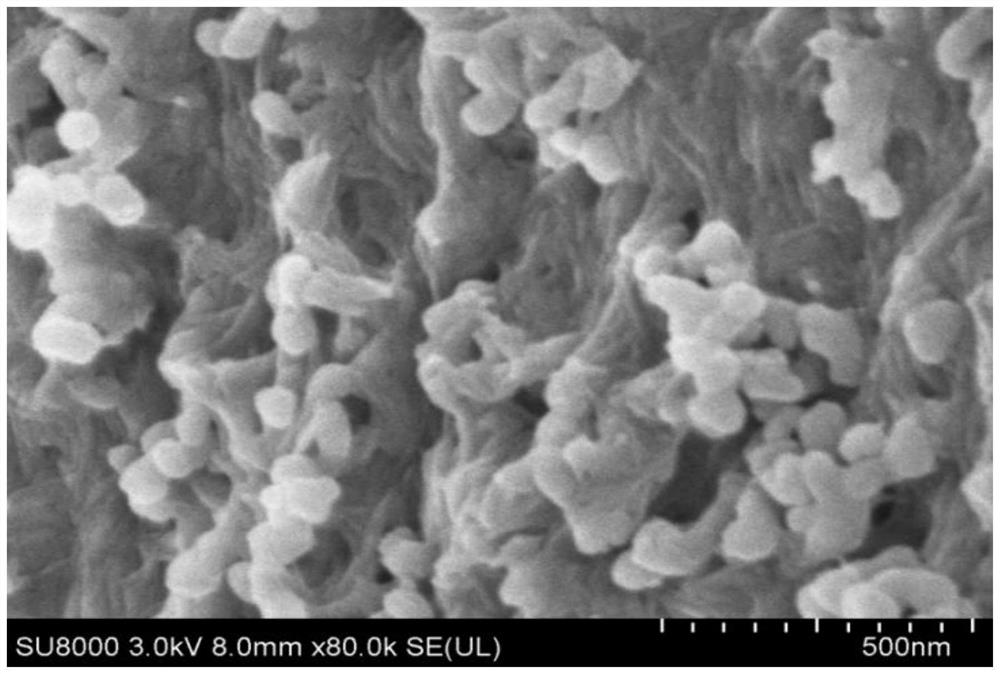 Preparation method of mesoporous cellulose fiber material