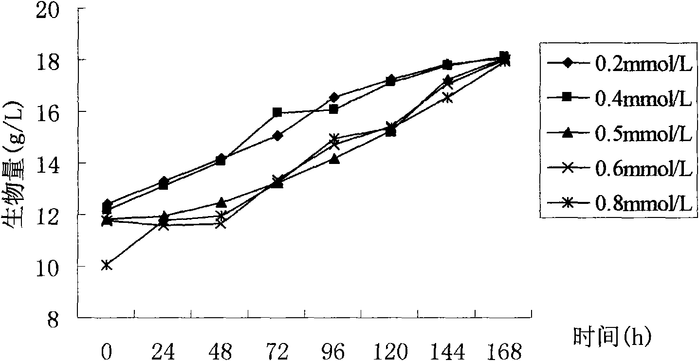 Fermentation method for high cordyceps militaris biomass and high cordycepin content