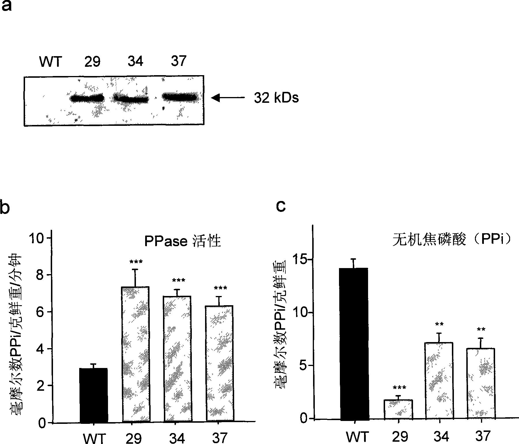 Method for improving plant products and expression box thereof