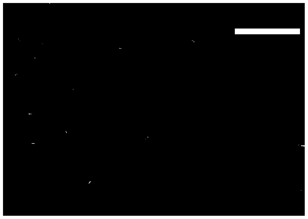 A kind of preparation transparent bi  <sub>2</sub> se  <sub>3</sub> thin film method