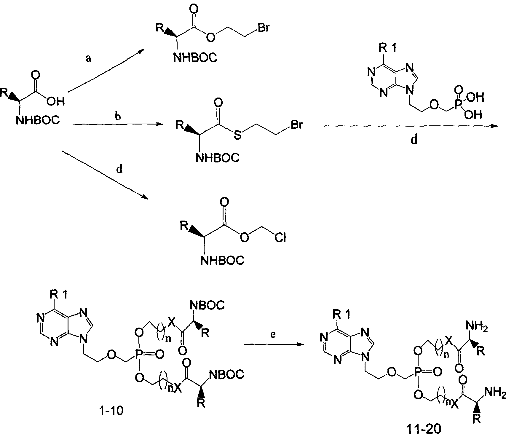 Preparation method and use for purine compounds double amino acid ester