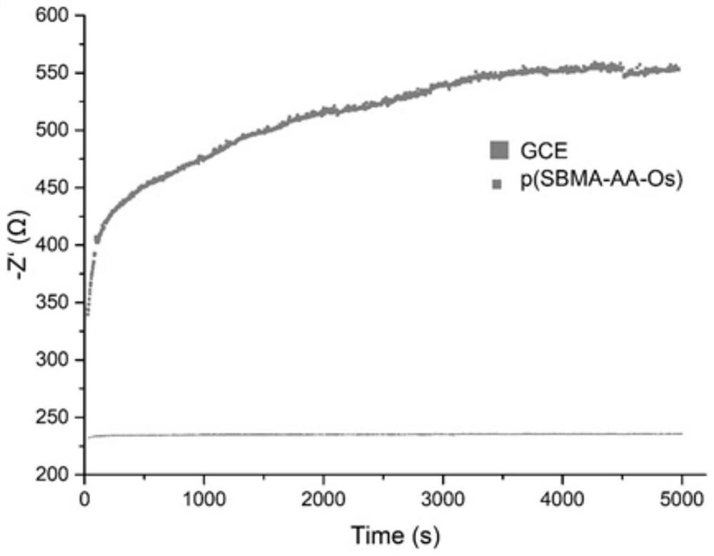 Zwitterionic polymer for implantable sensor and preparation method of zwitterionic polymer