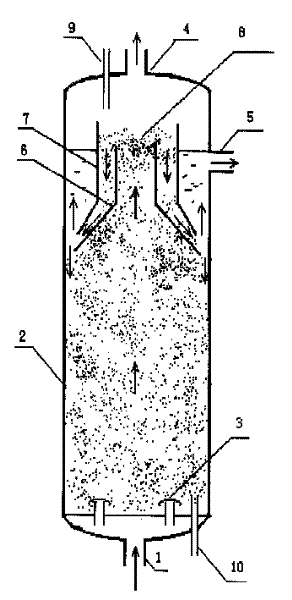 Boiling bed reactor