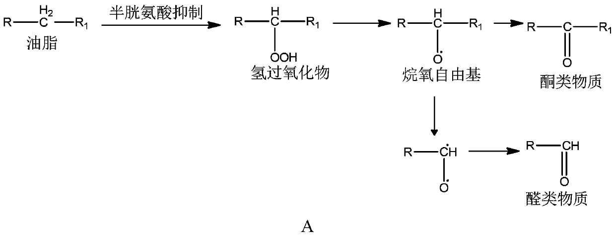 Application of L-cysteine or L-cysteine hydrochloride in preparation of chemical agent for reducing hydroperoxide and carbonyl value