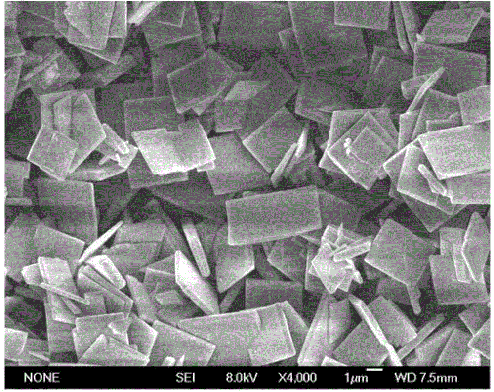 Porous silver micro-nano structure and shape and size controllable preparation method thereof