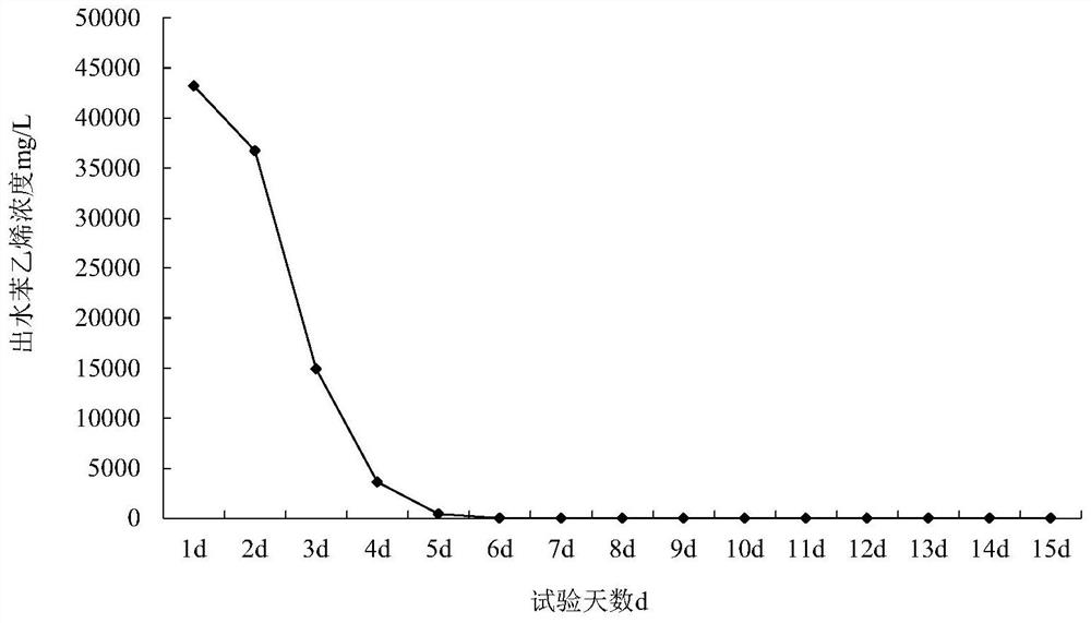 Styrene degrading bacterium and application thereof
