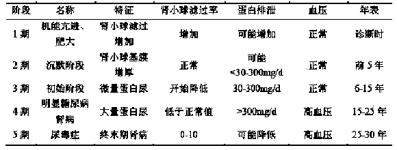 Diabetic nephropathy diagnostic kit and application thereof