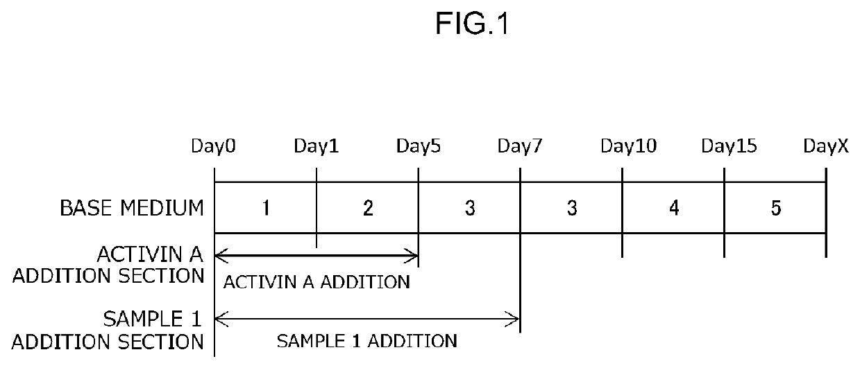 Method for producing myocardial cells using synthetic peptide