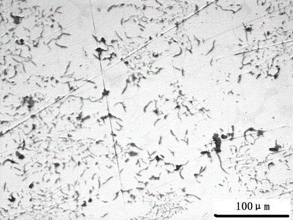 D-type graphite cast iron and production method thereof